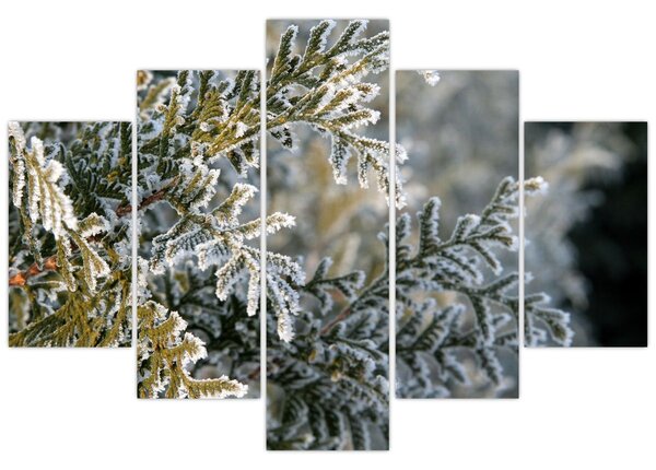 Slika - detalj grane (150x105 cm)