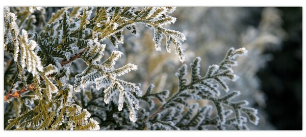 Slika - detalj grane (120x50 cm)