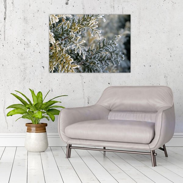 Slika - detalj grane (70x50 cm)