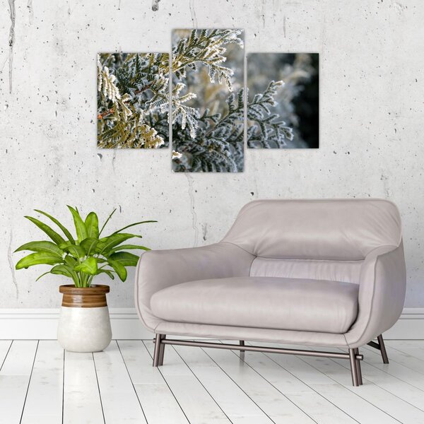 Slika - detalj grane (90x60 cm)