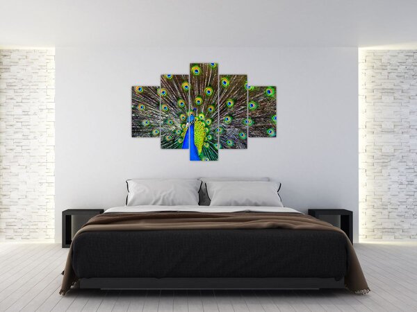 Slika - Paun (150x105 cm)