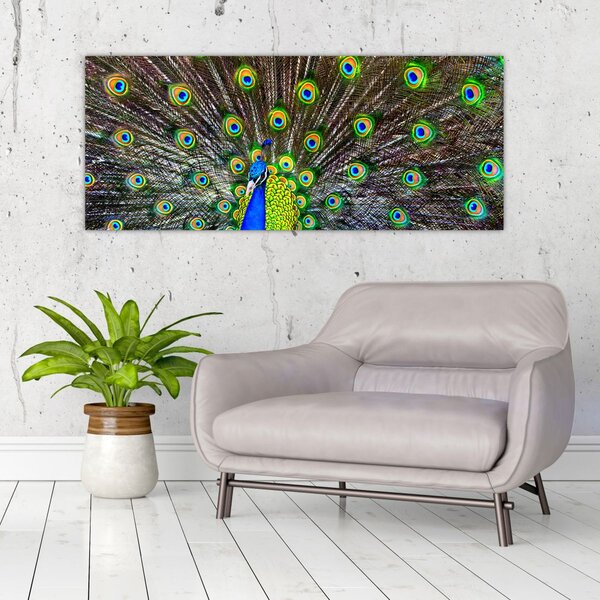 Slika - Paun (120x50 cm)