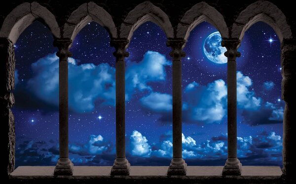 Foto tapeta - Noćno nebo (152,5x104 cm)