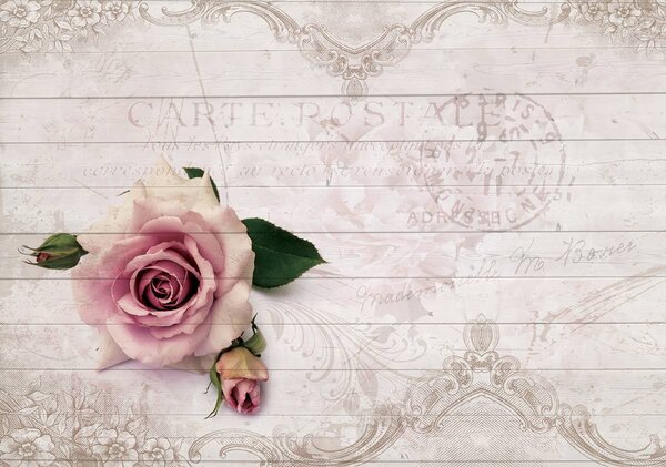Foto tapeta - Vintage (152,5x104 cm)