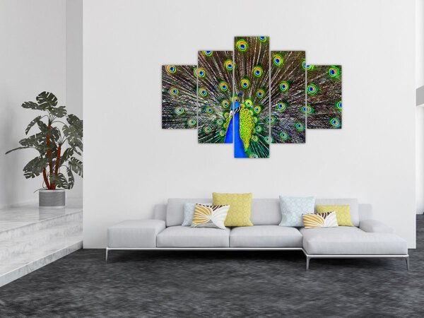 Slika - Paun (150x105 cm)