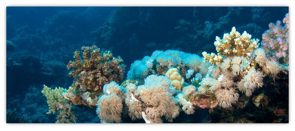 Slika - U oceanu (120x50 cm)