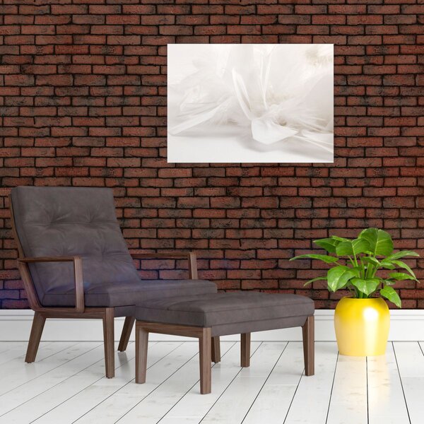 Slika - Perje (70x50 cm)