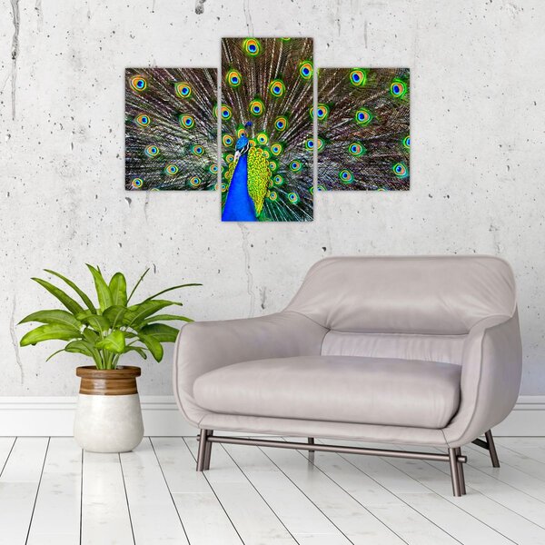 Slika - Paun (90x60 cm)