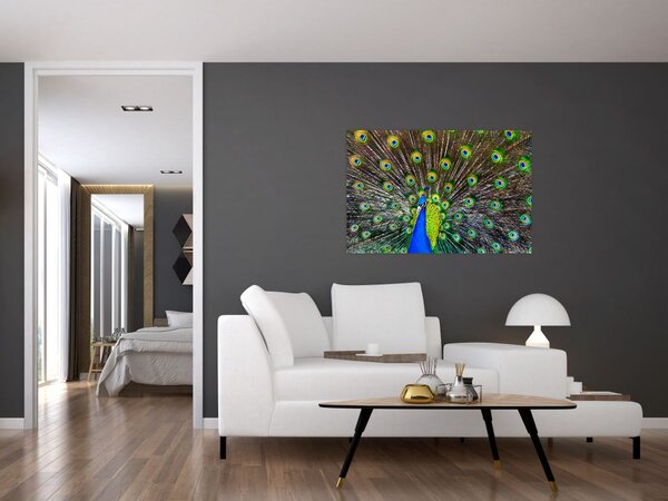 Slika - Paun (90x60 cm)