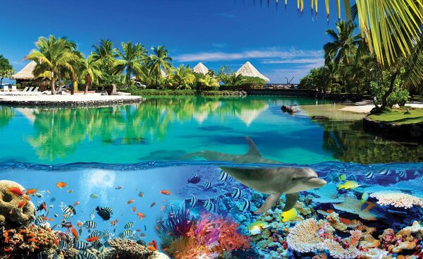 Foto tapeta - Koraljni greben i Maldivi (152,5x104 cm)