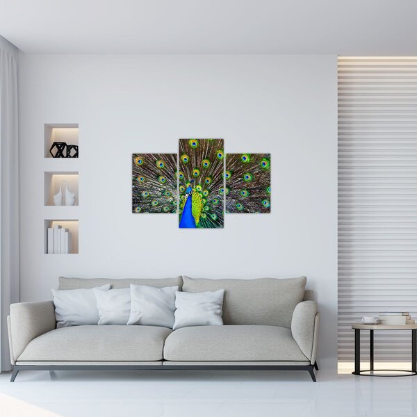 Slika - Paun (90x60 cm)