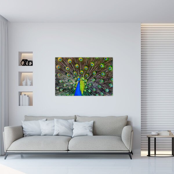 Slika - Paun (90x60 cm)