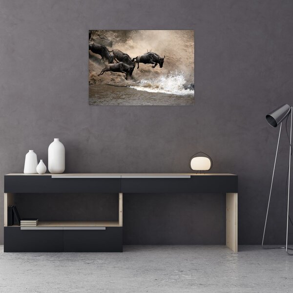 Slika - Krdo gnuova (70x50 cm)
