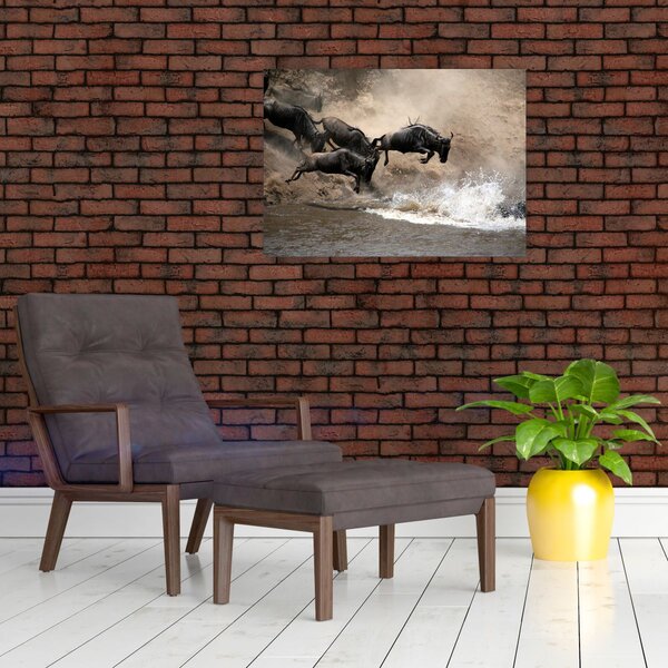 Slika - Krdo gnuova (70x50 cm)