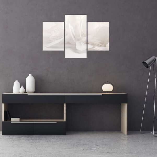 Slika - Perje (90x60 cm)