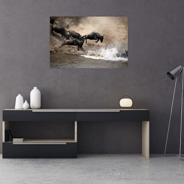 Slika - Krdo gnuova (90x60 cm)