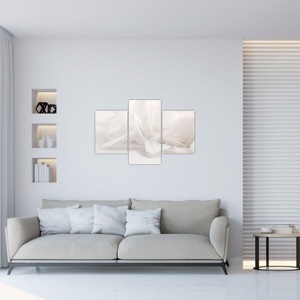 Slika - Perje (90x60 cm)