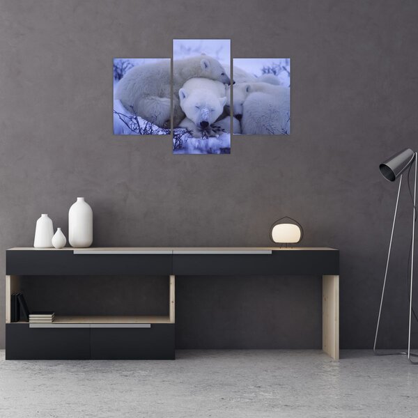 Slika - Polarni medvjedi (90x60 cm)
