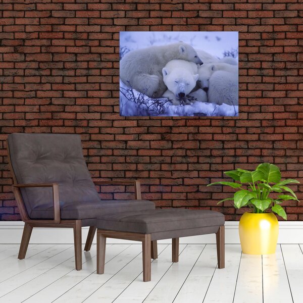 Slika - Polarni medvjedi (70x50 cm)