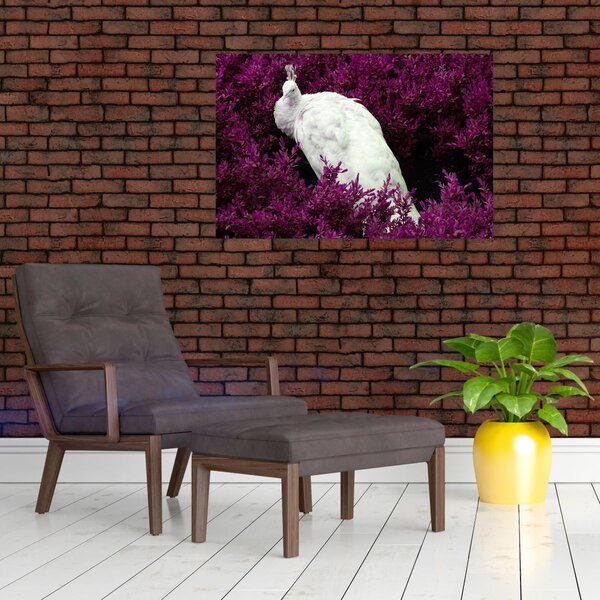 Slika - Bijeli paun (90x60 cm)