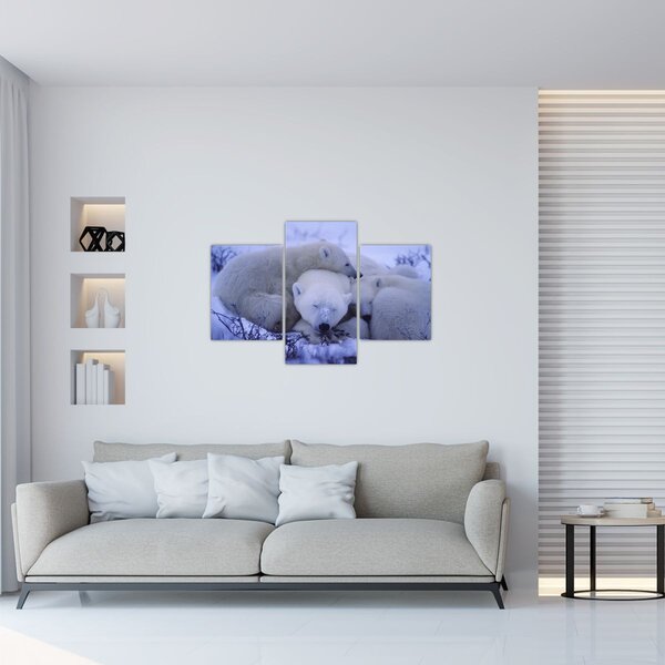Slika - Polarni medvjedi (90x60 cm)