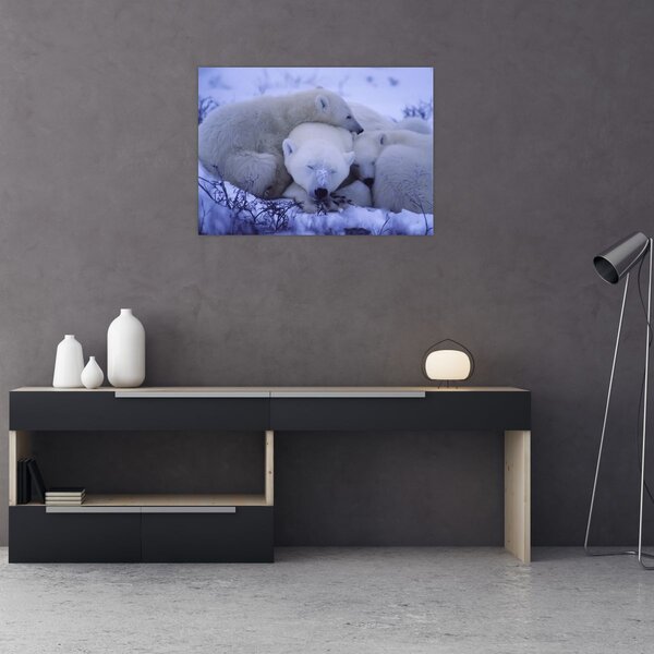 Slika - Polarni medvjedi (70x50 cm)