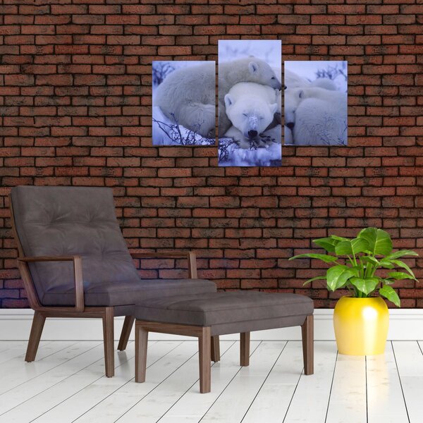 Slika - Polarni medvjedi (90x60 cm)
