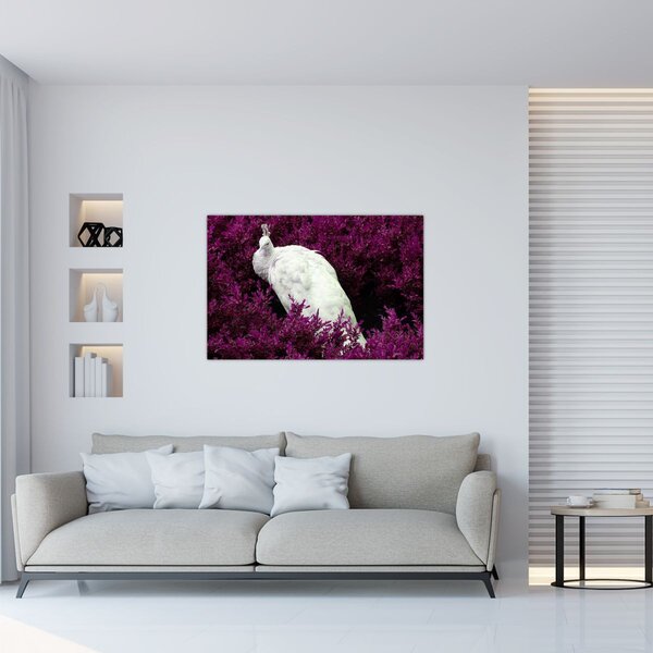 Slika - Bijeli paun (90x60 cm)