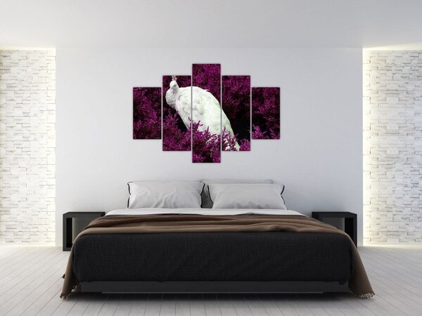 Slika - Bijeli paun (150x105 cm)