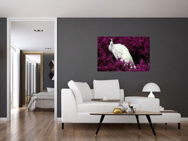 Slika - Bijeli paun (90x60 cm)