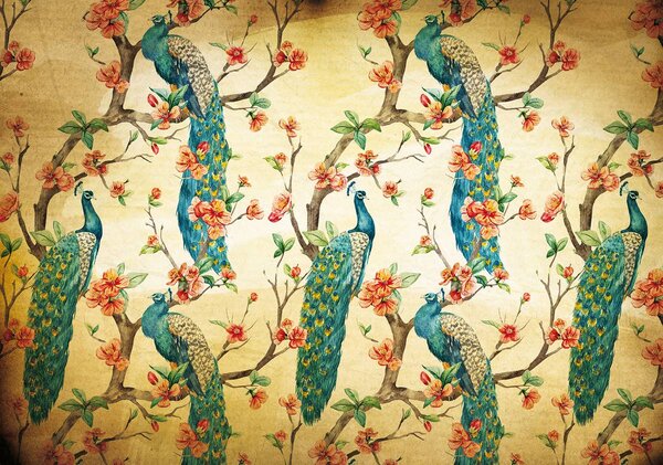 Foto tapeta - Paun (152,5x104 cm)