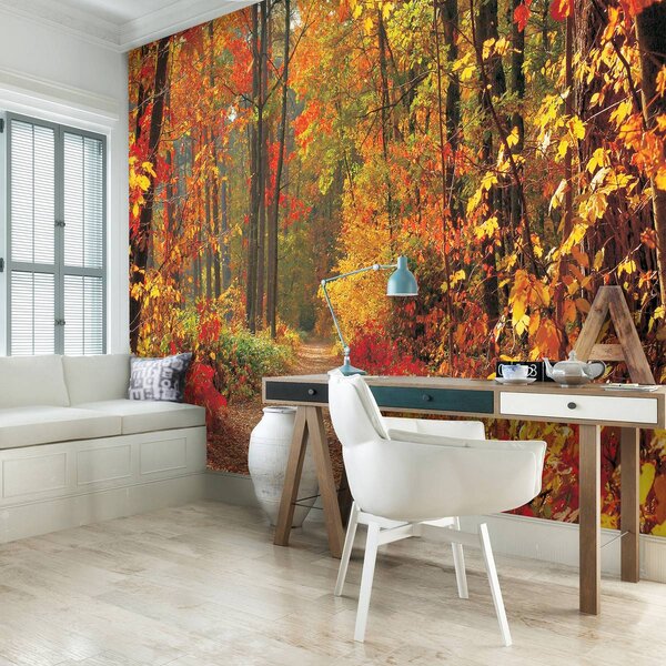 Foto tapeta - Jesenska šuma (152,5x104 cm)
