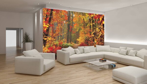 Foto tapeta - Jesenska šuma (152,5x104 cm)