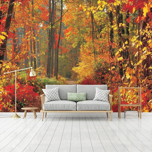 Foto tapeta - Jesenska šuma (152,5x104 cm)