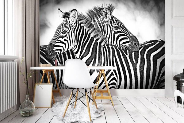 Foto tapeta - Zebra (152,5x104 cm)