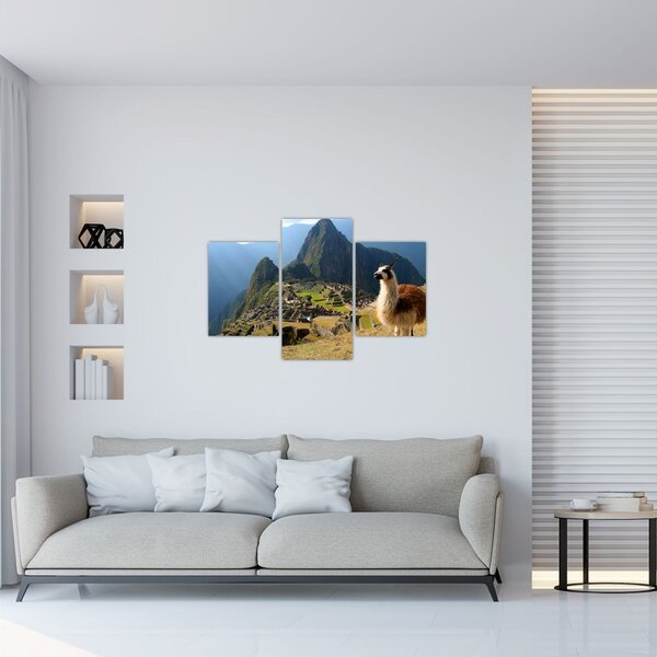 Slika - Lama i Machu Picchu (90x60 cm)