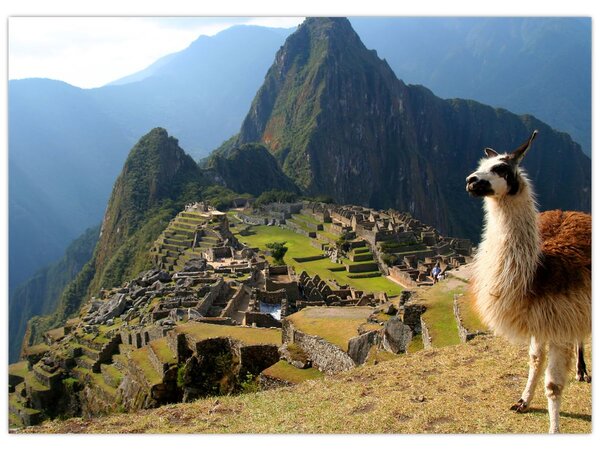 Slika - Lama i Machu Picchu (70x50 cm)