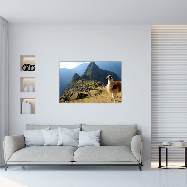 Slika - Lama i Machu Picchu (90x60 cm)
