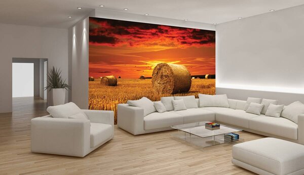 Foto tapeta - Polje (152,5x104 cm)
