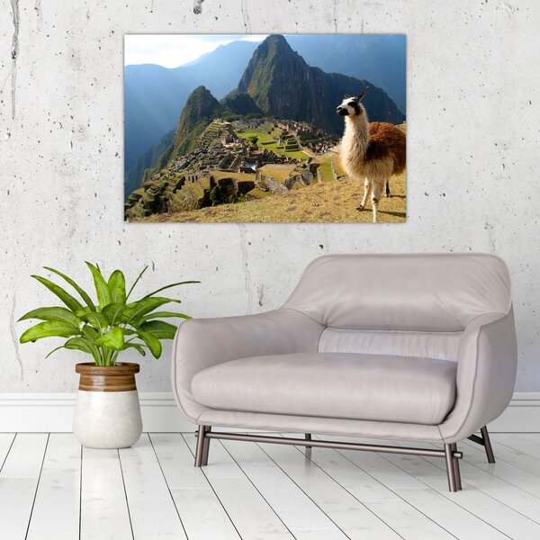 Slika - Lama i Machu Picchu (90x60 cm)