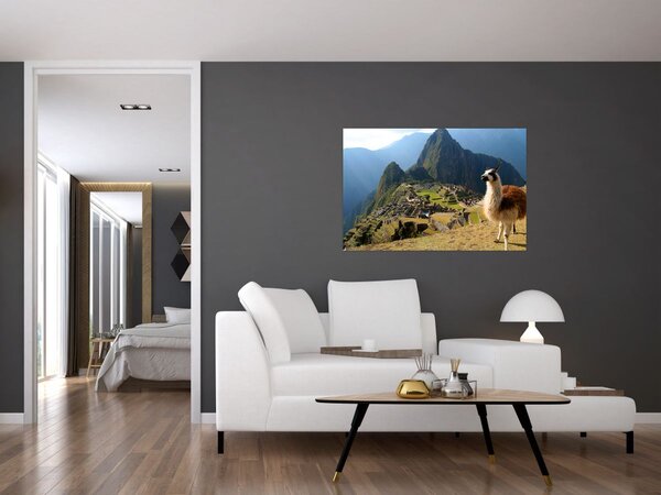 Slika - Lama i Machu Picchu (90x60 cm)