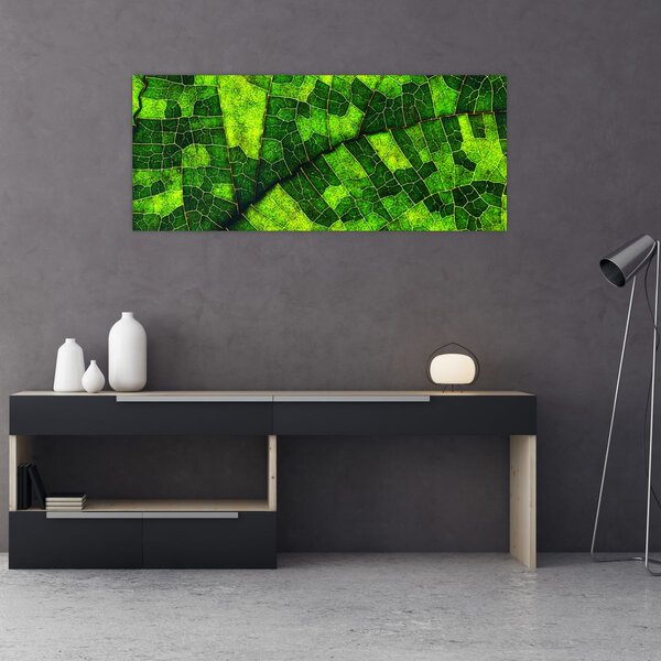 Slika - Detalj lista (120x50 cm)