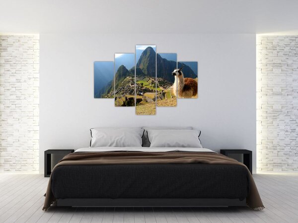 Slika - Lama i Machu Picchu (150x105 cm)