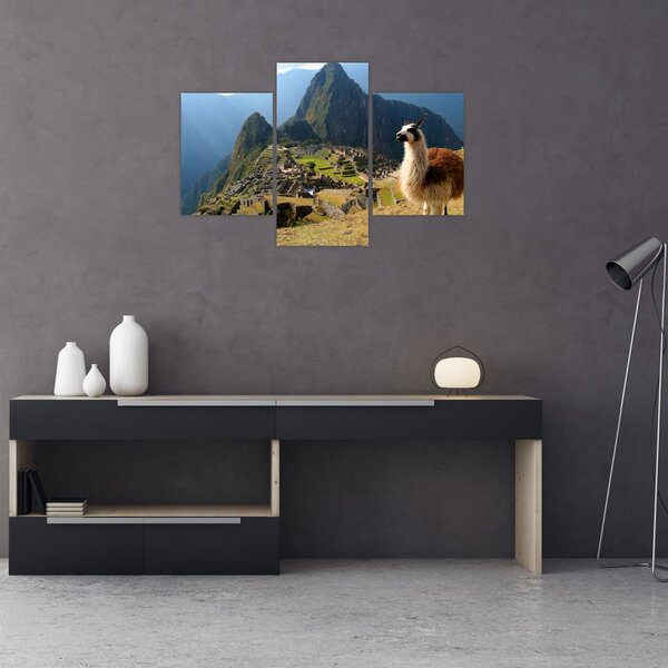 Slika - Lama i Machu Picchu (90x60 cm)
