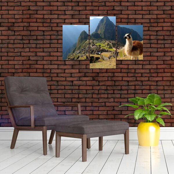 Slika - Lama i Machu Picchu (90x60 cm)