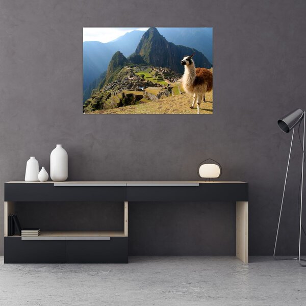 Slika - Lama i Machu Picchu (90x60 cm)