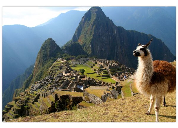Slika - Lama i Machu Picchu (90x60 cm)