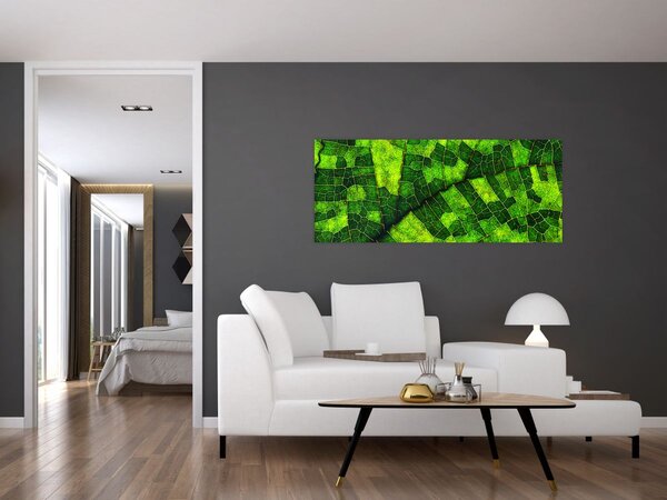 Slika - Detalj lista (120x50 cm)