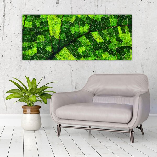 Slika - Detalj lista (120x50 cm)