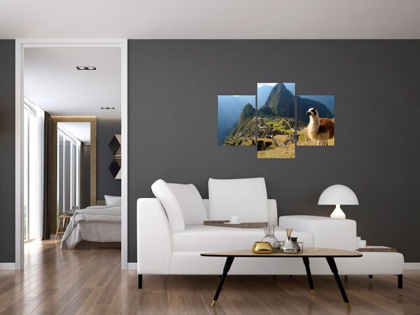 Slika - Lama i Machu Picchu (90x60 cm)